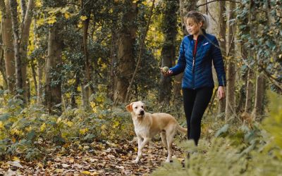 Walking the dog