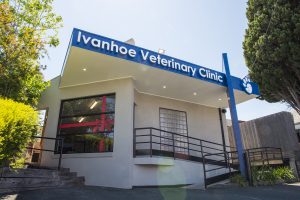 Ivanhoe Veterinary Clinic