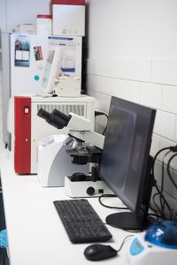 Laboratory