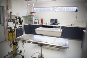 Treatment Room