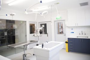 Treatment Room